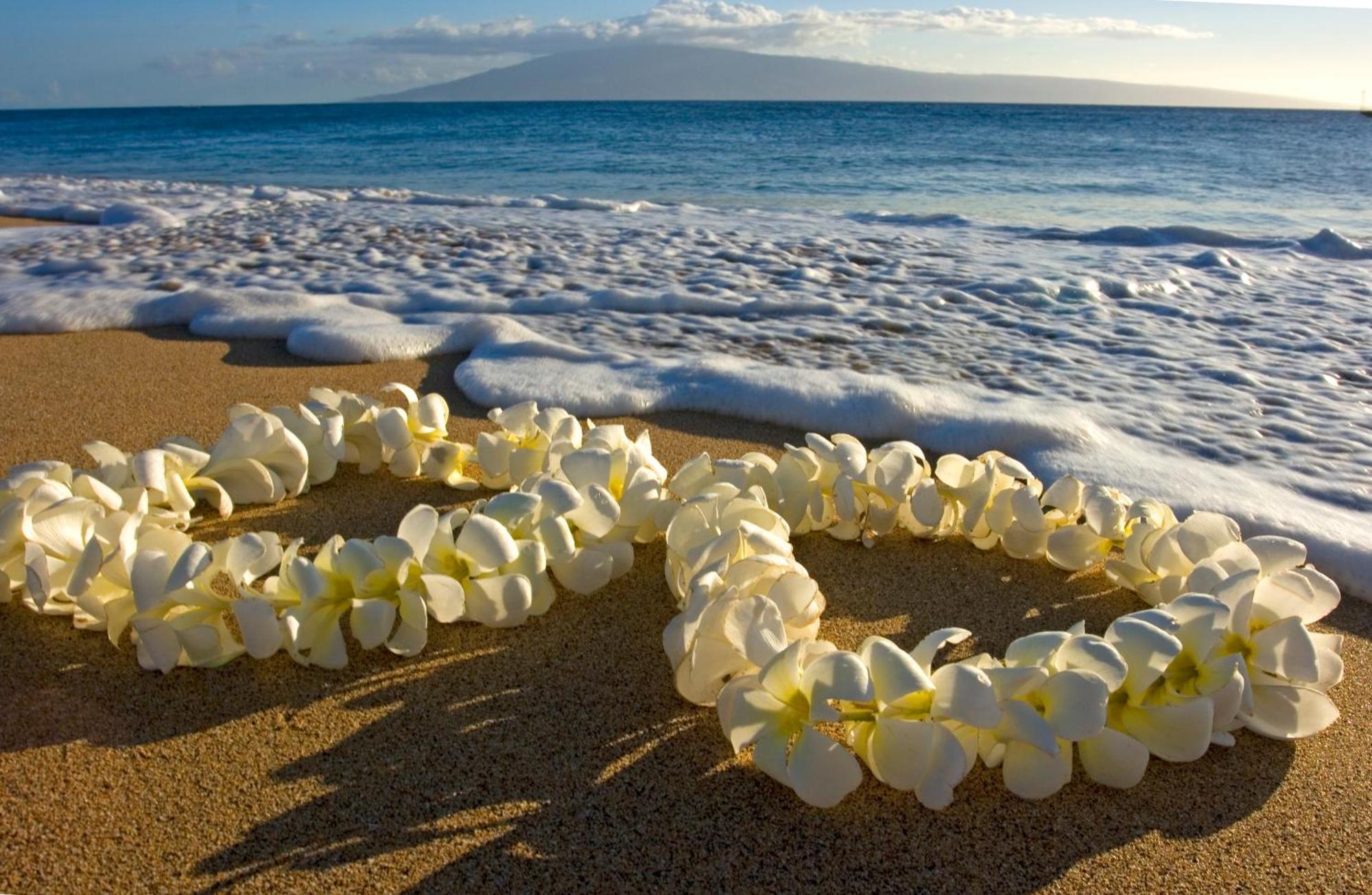 Mountain View Condo Near Beach With Free Parking! Honolulu Esterno foto