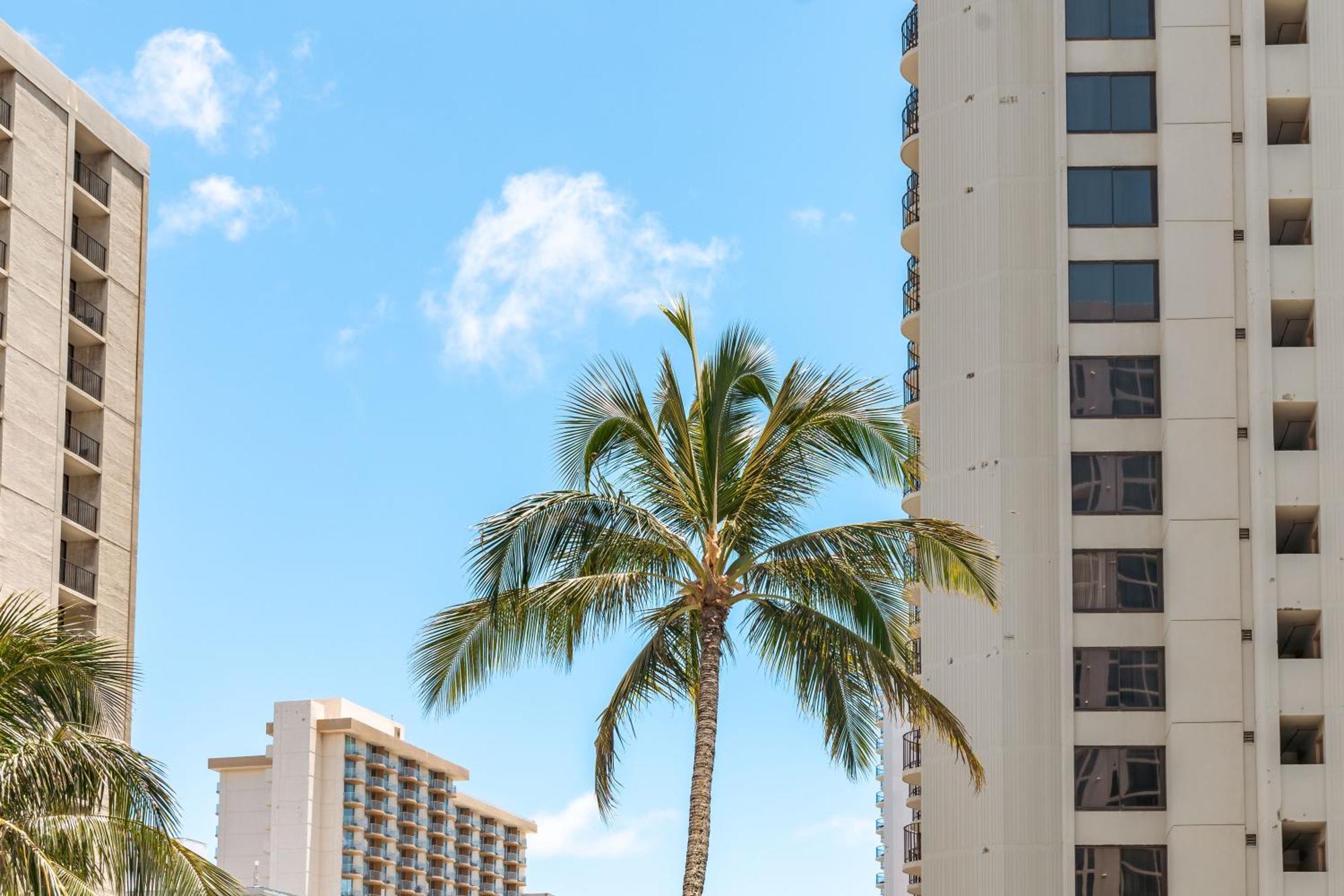 Mountain View Condo Near Beach With Free Parking! Honolulu Esterno foto